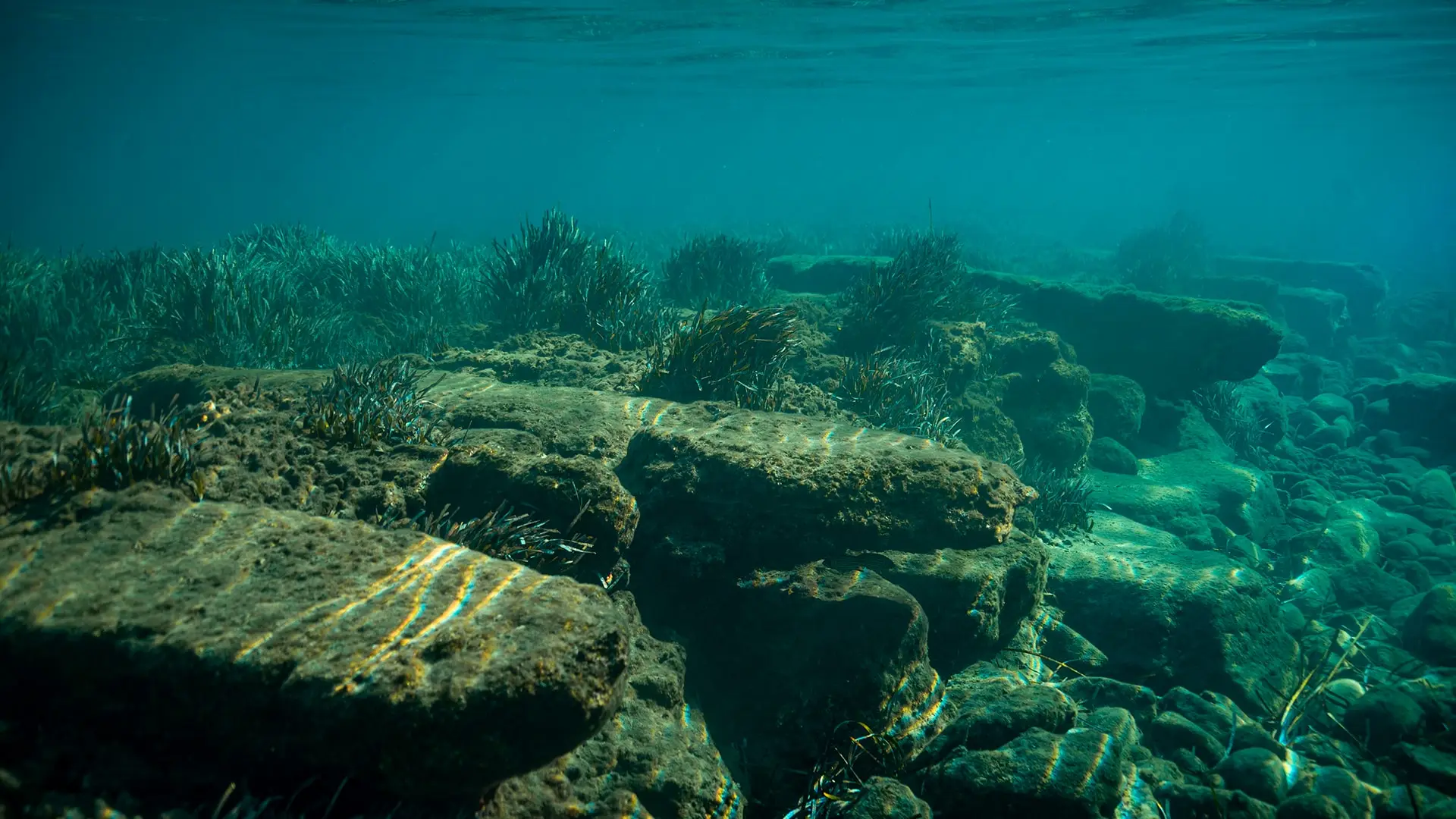 Ruinas sumergidas: hileras de bloques bajo agua verde