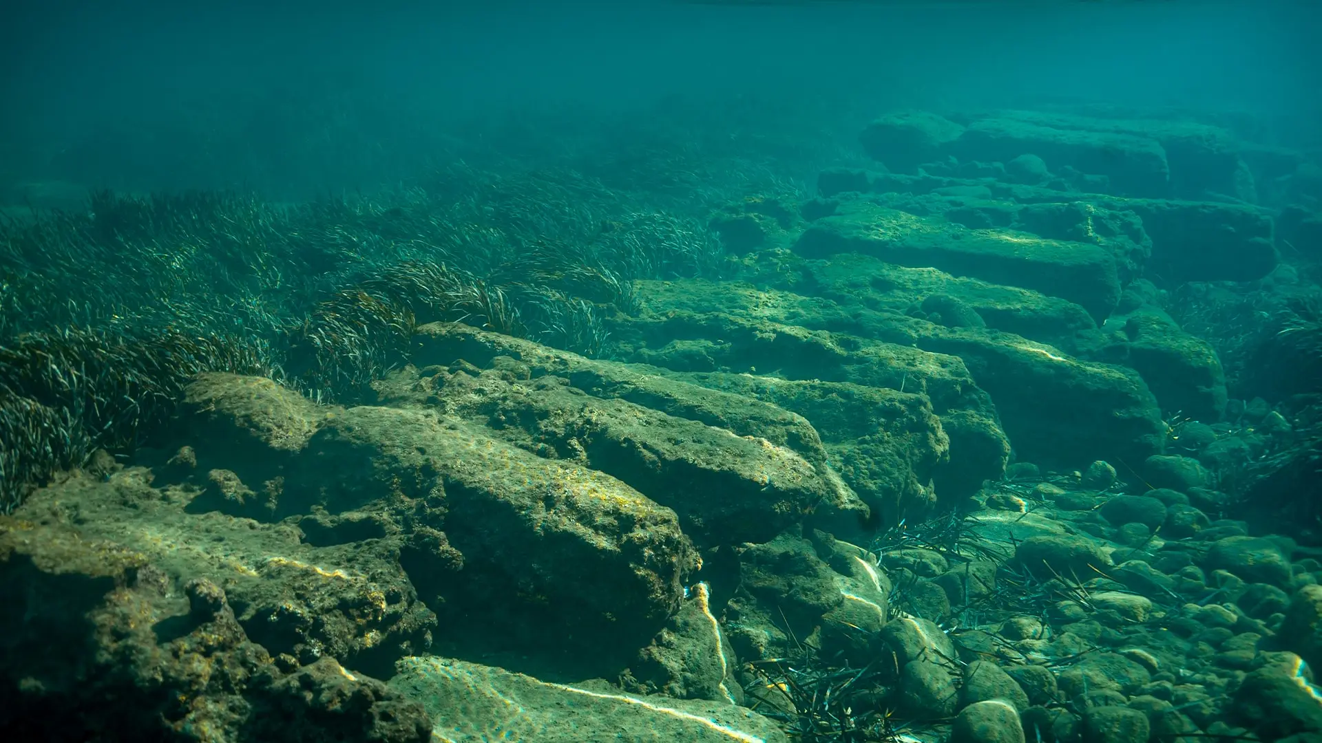 Bloques de una construcción sumergida entre posidonia