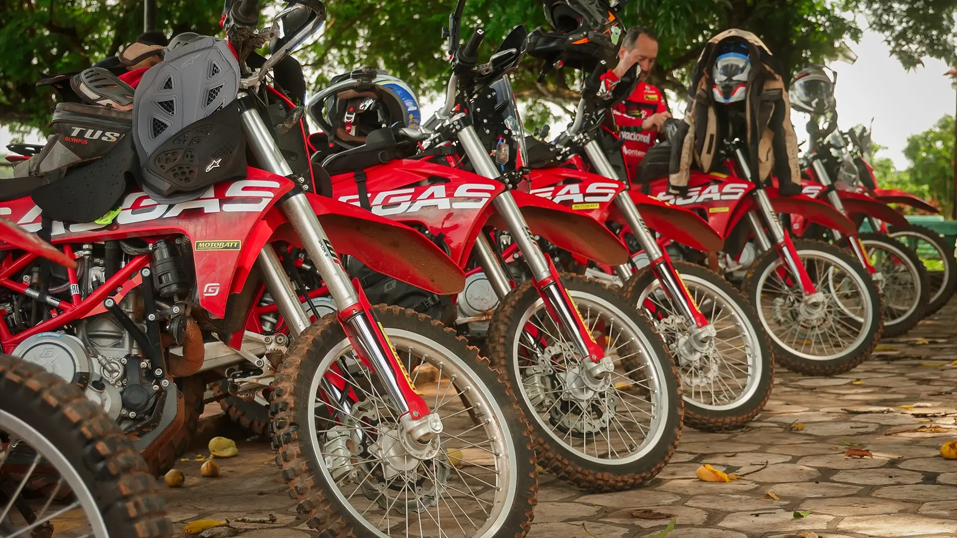 Fila de motos de enduro rojas aparcadas bajo los árboles