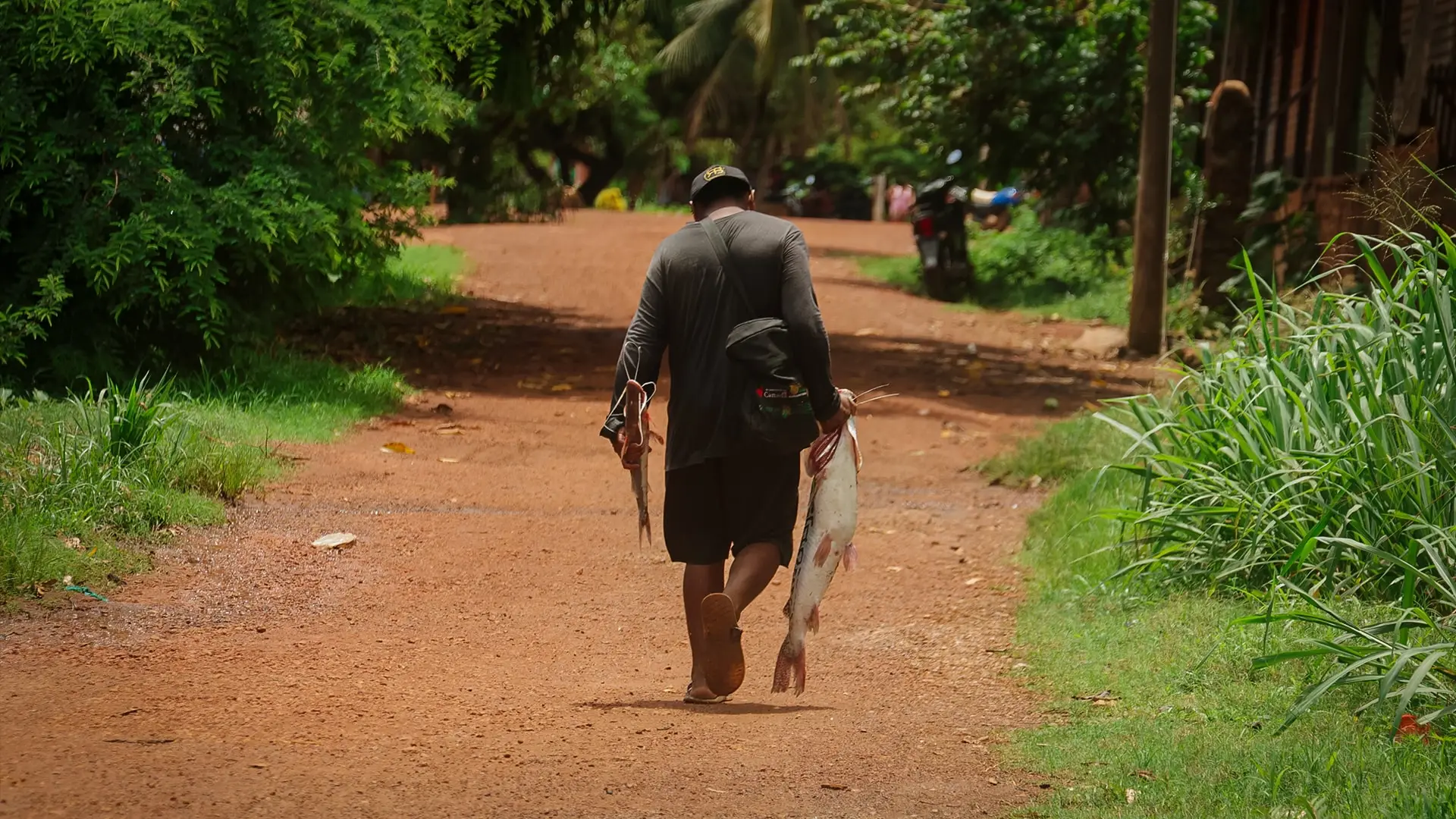 Hombre caminando de espaldas por un sendero de tierra roja