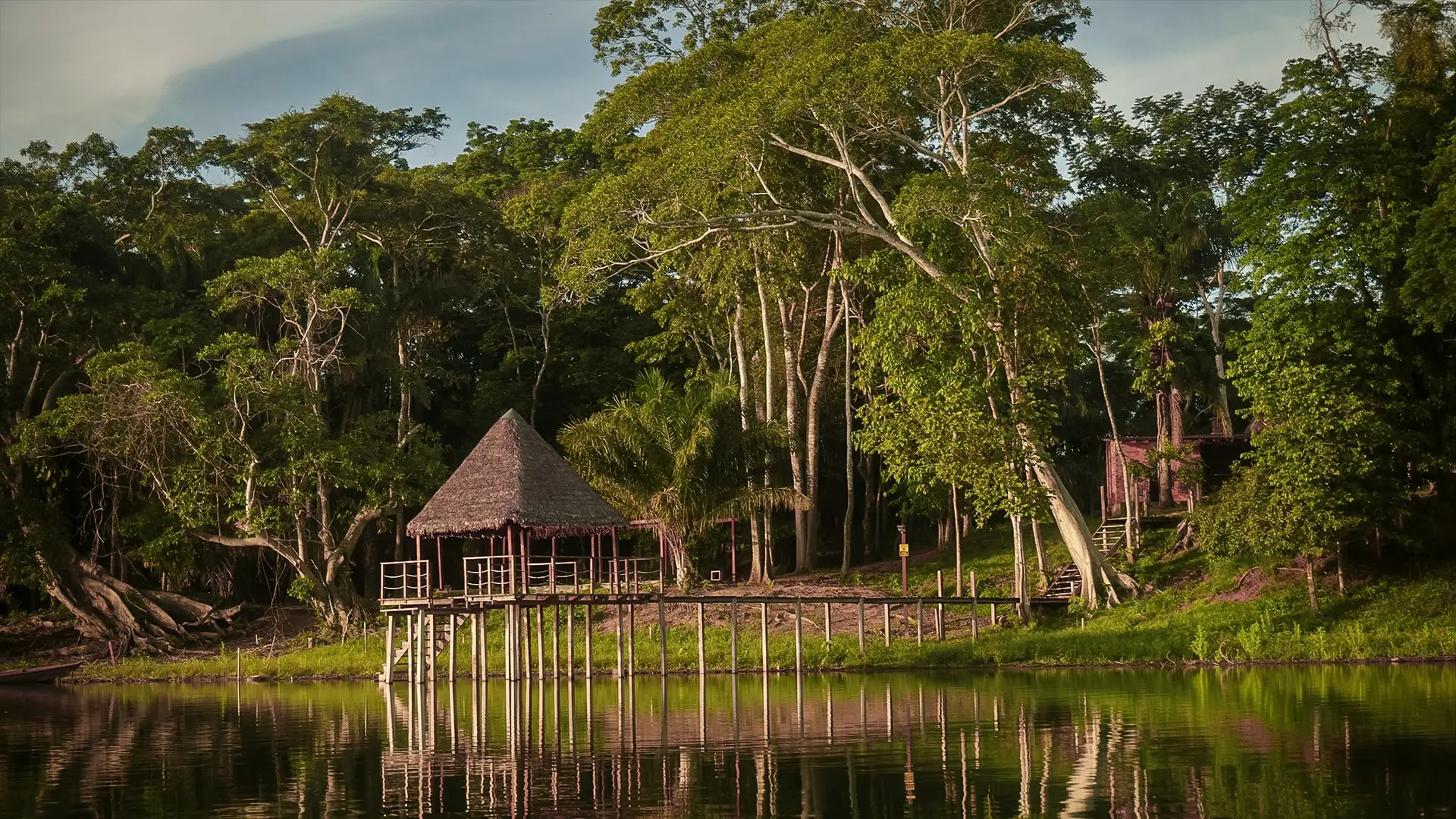 Cabaña sobre pilotes reflejada en el agua, al pie de la selva